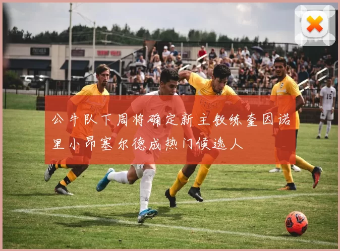 公牛队下周将确定新主教练奎因诺里小昂塞尔德成热门候选人
